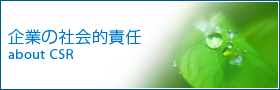 銀座のサンウォッシングの企業情報